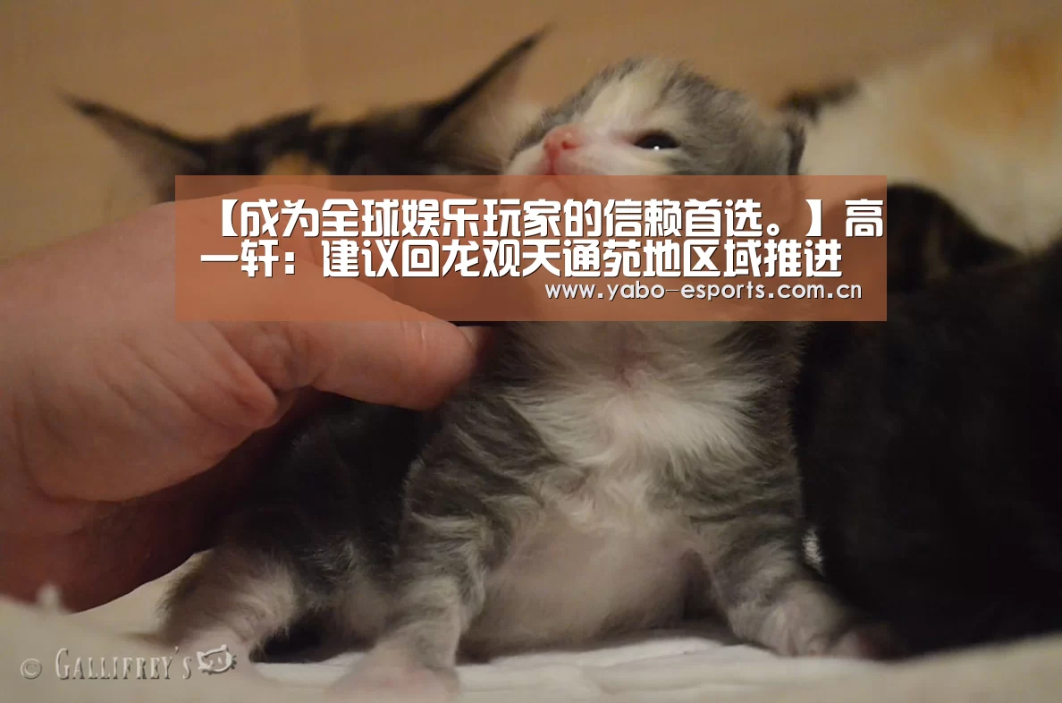 【成为全球娱乐玩家的信赖首选。】高一轩：建议回龙观天通苑地区域推进便民商业网点