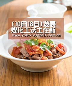 (10月18日)发展煤化工沃土在新疆_亚博娱乐(图3) 亚博棋牌