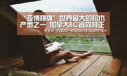 ‘亚博棋牌’世界最大的松木产地之一 加拿大BC省森林正在从松甲虫灾害中自愈(图2) 亚博棋牌
