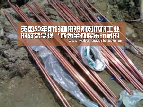 英国50年前的植树热潮对木材工业的效益显现‘成为全球娱乐玩家的信赖首选。’(图2) 成为全球娱乐玩家的信赖首选。