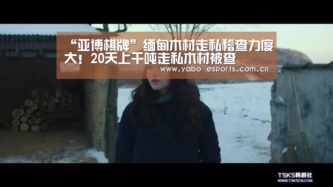 “亚博棋牌”缅甸木材走私稽查力度大!20天上千吨走私木材被查(图2) 亚博棋牌