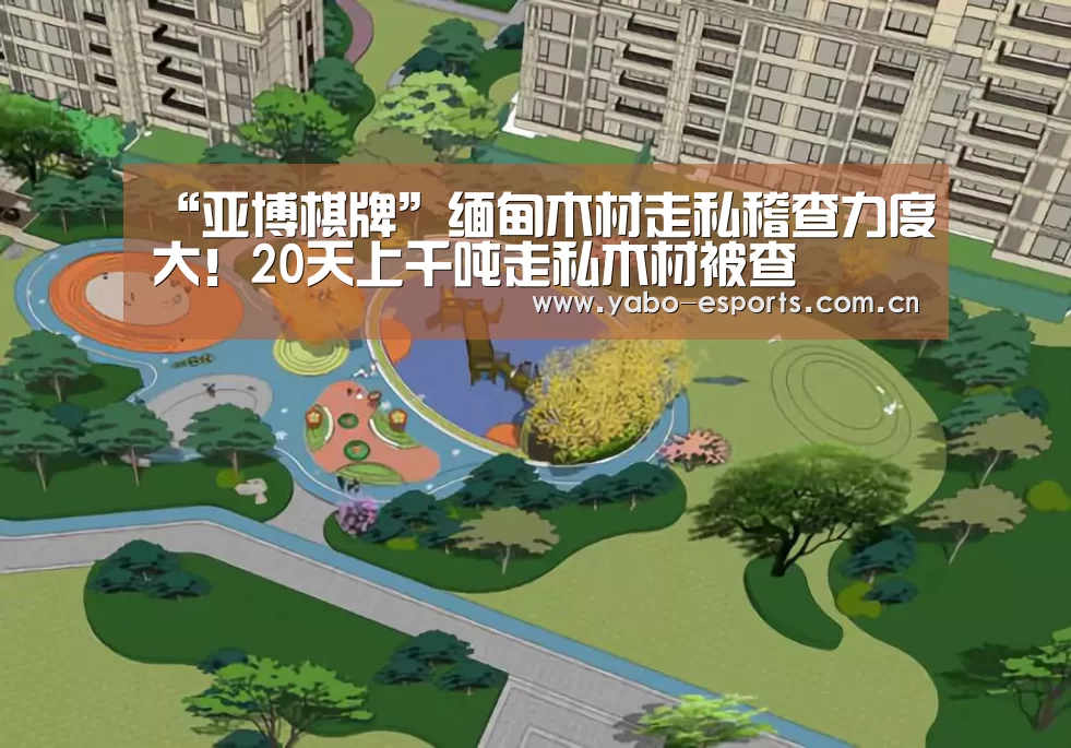 “亚博棋牌”缅甸木材走私稽查力度大!20天上千吨走私木材被查(图3) 亚博棋牌