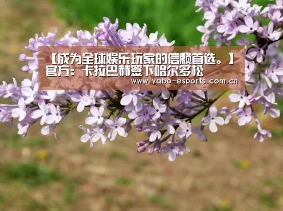 亚博棋牌