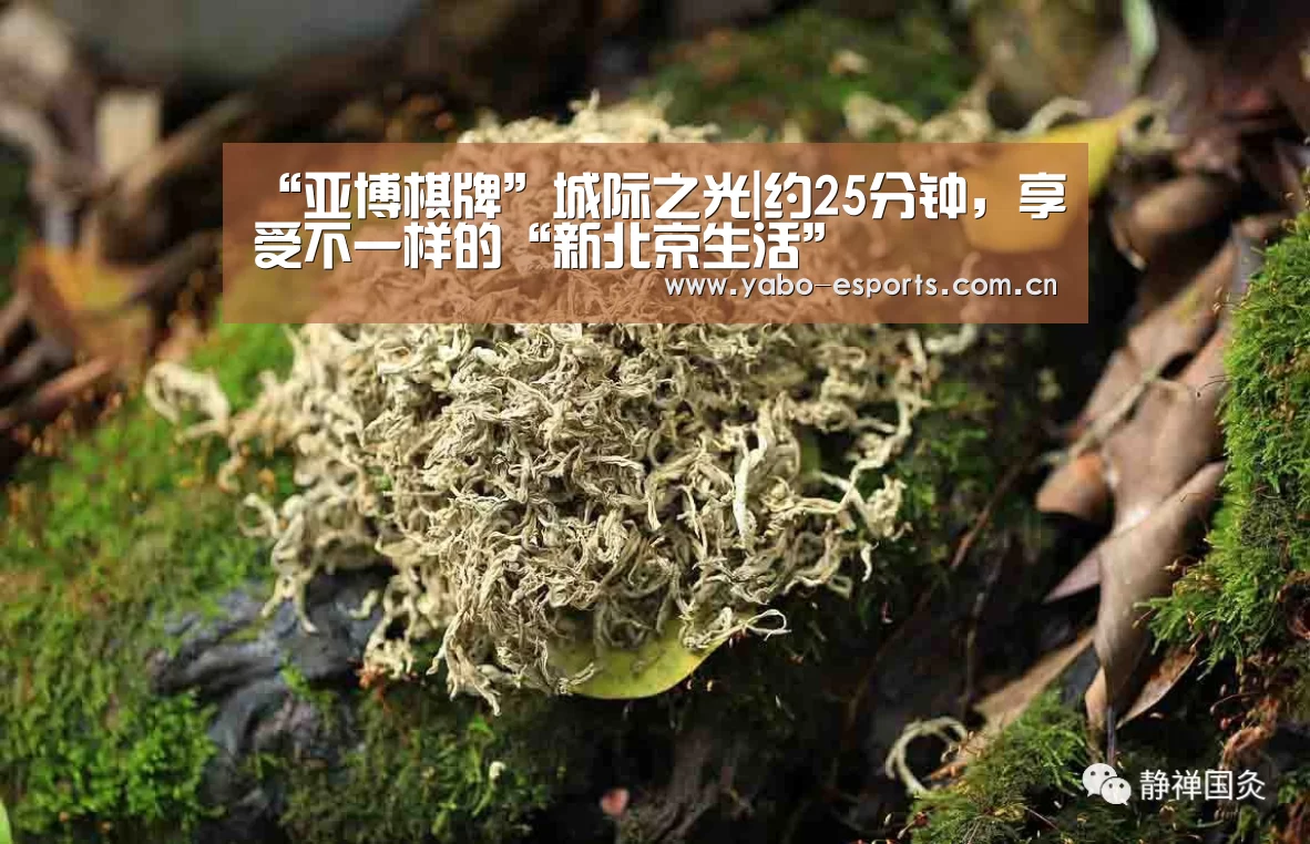 “亚博棋牌”城际之光|约25分钟，享受不一样的“新北京生活”