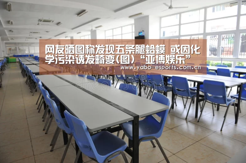 网友晒图称发现五条腿蛤蟆 或因化学污染诱发畸变(图)“亚博娱乐”