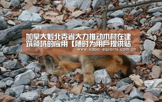 加拿大魁北克省大力推动木材在建筑领域的应用【随时为用户提供贴心服务。亚博体育以国