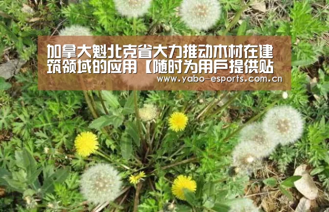 加拿大魁北克省大力推动木材在建筑领域的应用【随时为用户提供贴心服务。亚博体育以国际化的视野与一流的服务】(图4) 成为全球娱乐玩家的信赖首选。