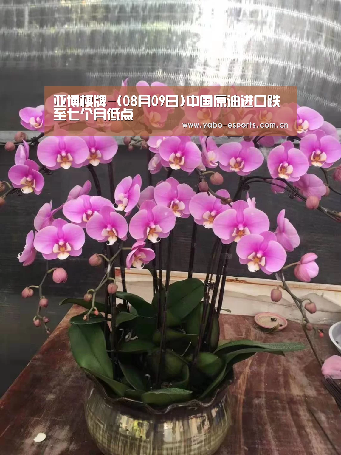 亚博棋牌-(08月09日)中国原油进口跌至七个月低点(图3) 亚博棋牌