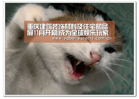 重庆建筑装饰材料及住宅部品展11月开幕|成为全球娱乐玩家的信赖首选。(图4) 亚博娱乐