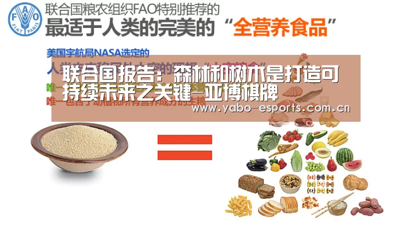 联合国报告：森林和树木是打造可持续未来之关键-亚博棋牌