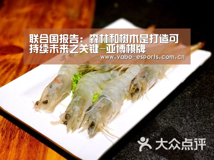 联合国报告:森林和树木是打造可持续未来之关键-亚博棋牌(图3) 亚博娱乐