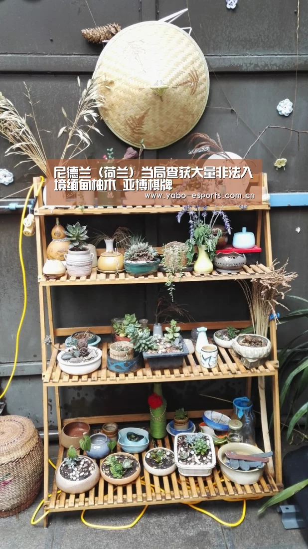 亚博棋牌
