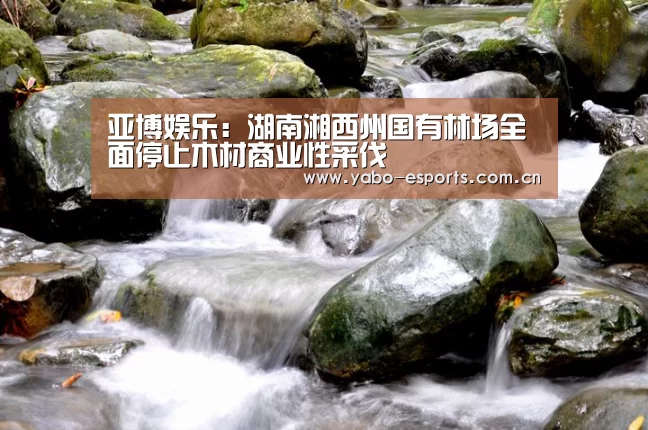 亚博娱乐：湖南湘西州国有林场全面停止木材商业性采伐