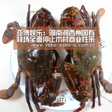亚博棋牌